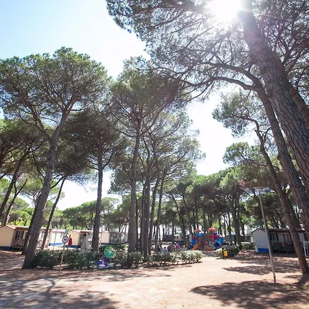 Pineta - Nikoli Tour Cesenatico